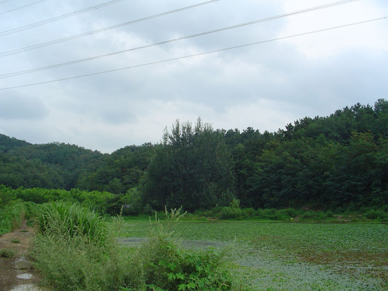 Dsc01274.jpg