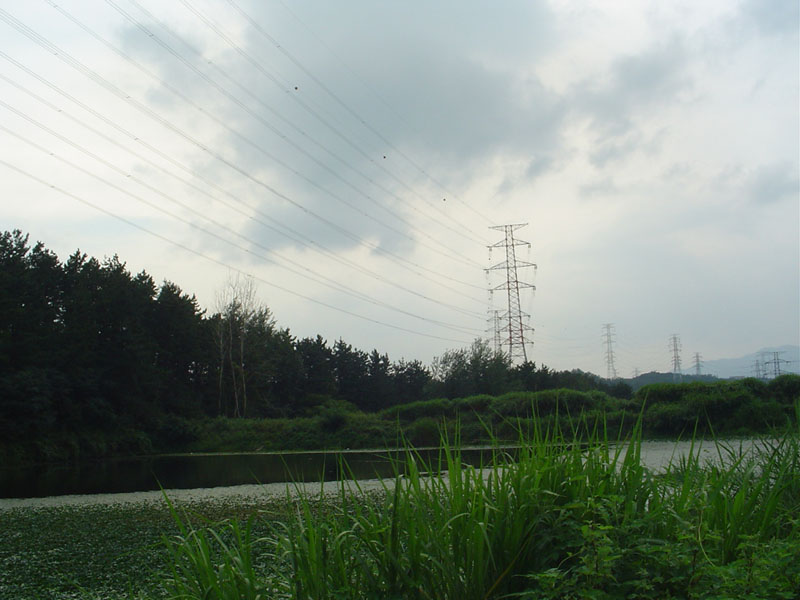 Dsc01275.jpg