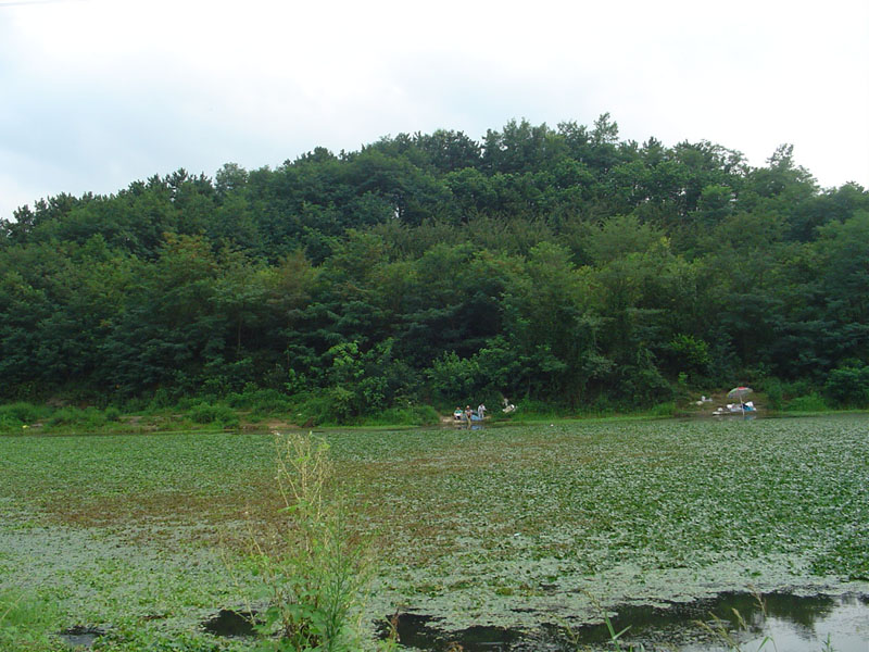 Dsc01276.jpg