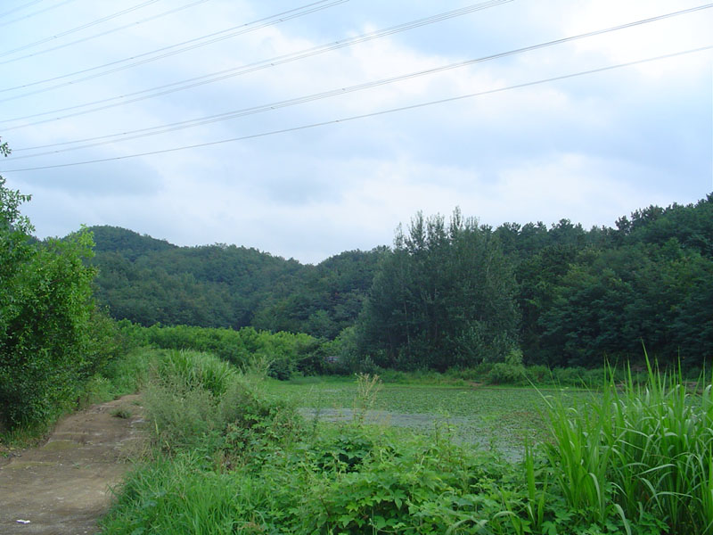 Dsc01277.jpg