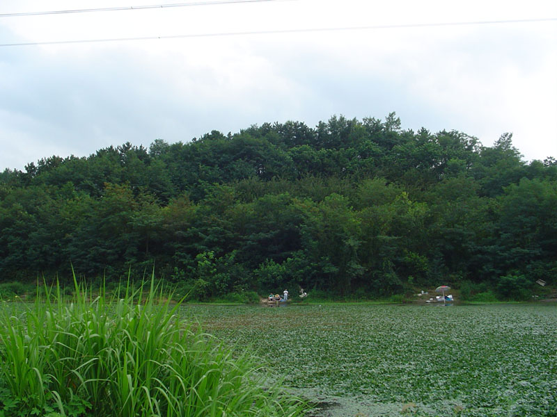 Dsc01278.jpg