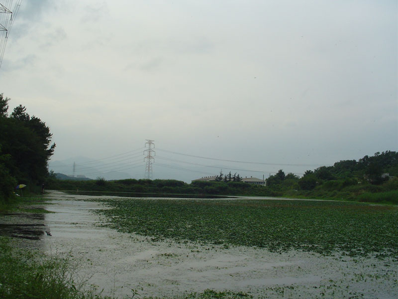 Dsc01279.jpg