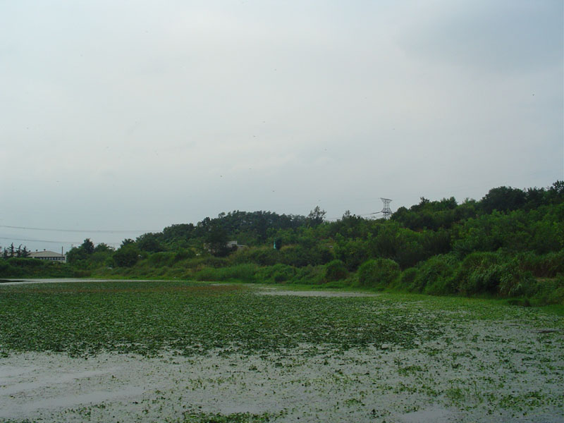 Dsc01280.jpg