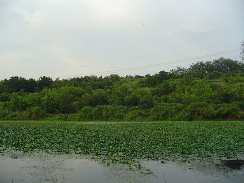 Dsc01284.jpg