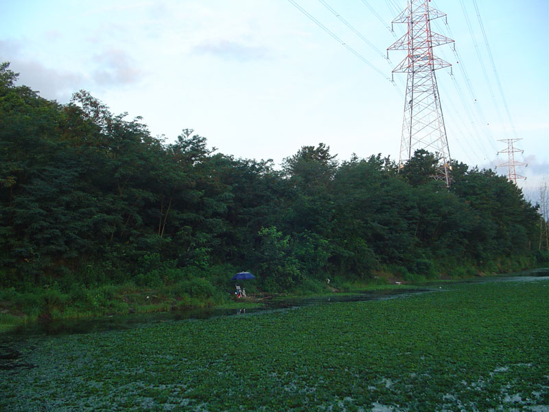 Dsc01286.jpg