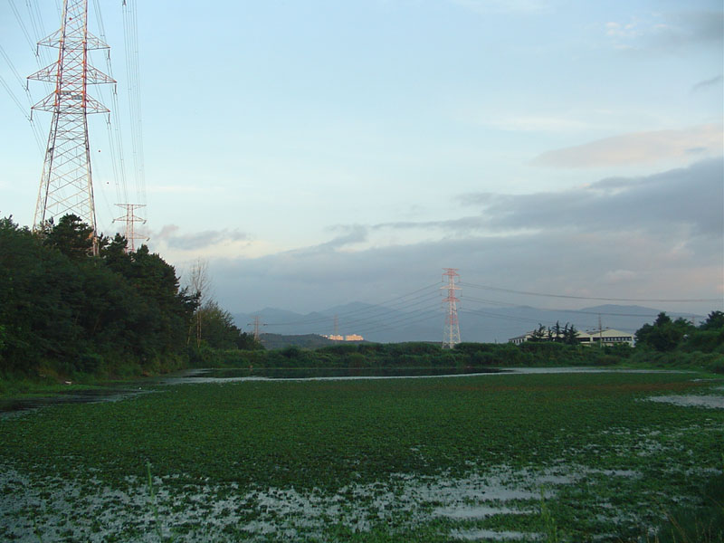 Dsc01287.jpg