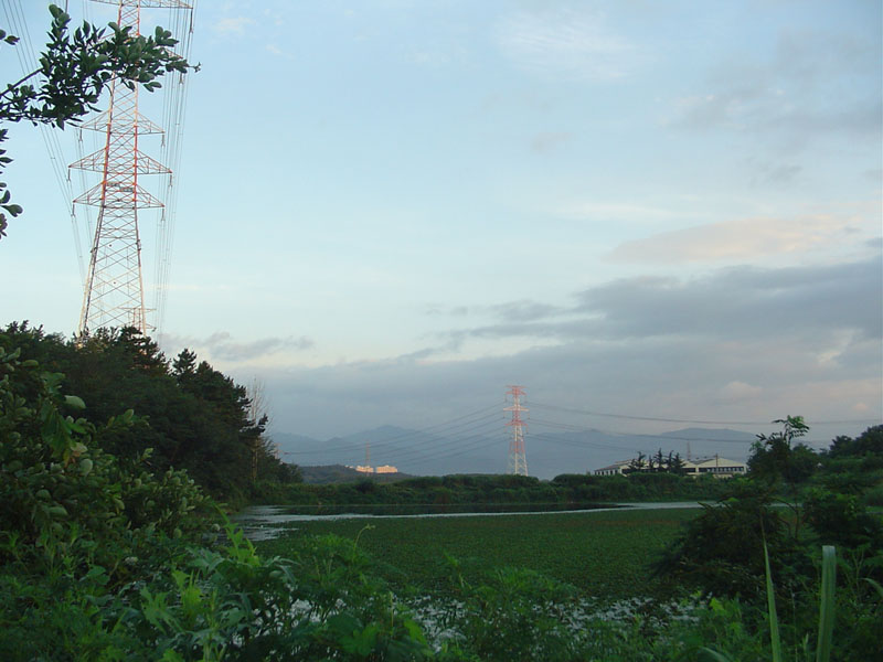 Dsc01288.jpg
