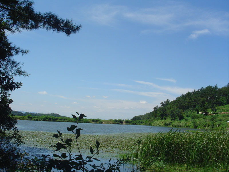 Dsc01320.jpg