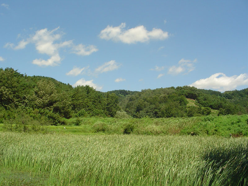 Dsc01322.jpg