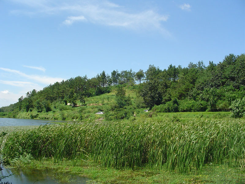 Dsc01323.jpg