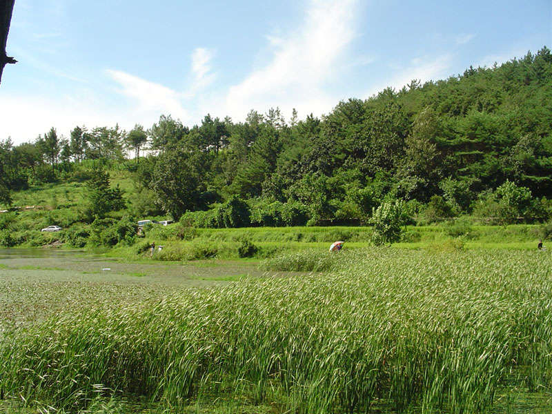 Dsc01326.jpg