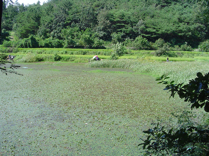 Dsc01327.jpg