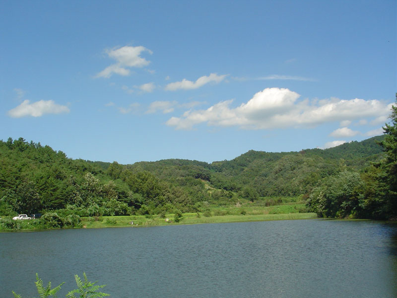 Dsc01330.jpg