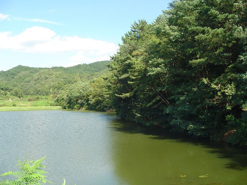 Dsc01331.jpg
