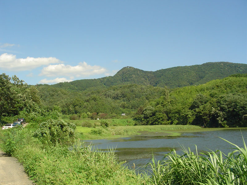 Dsc01335.jpg