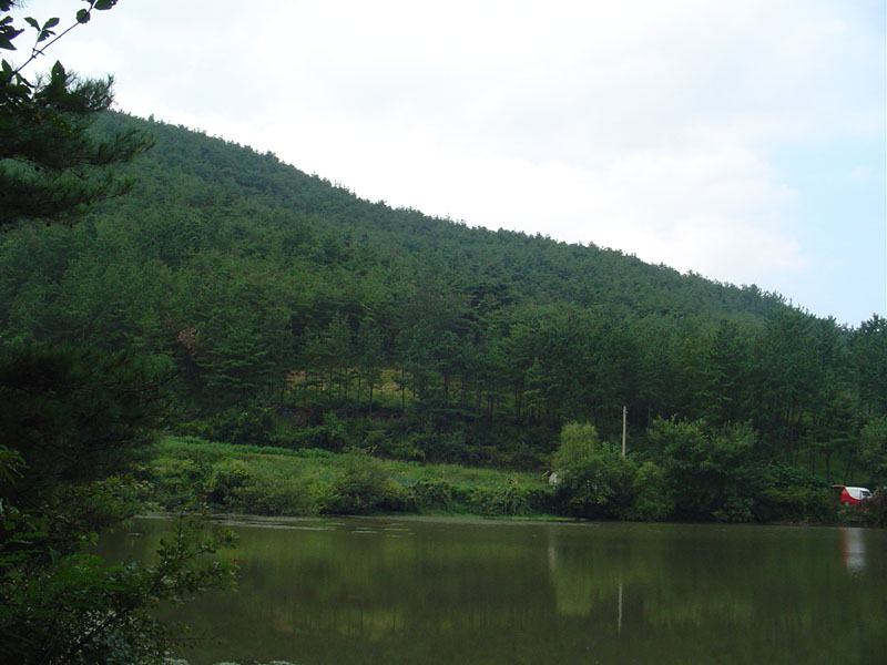 Dsc01355.jpg