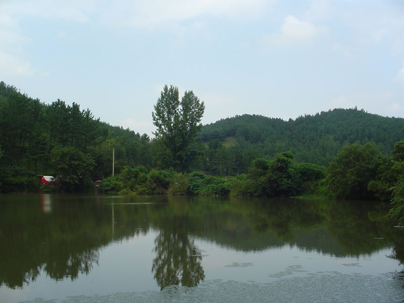Dsc01357.jpg