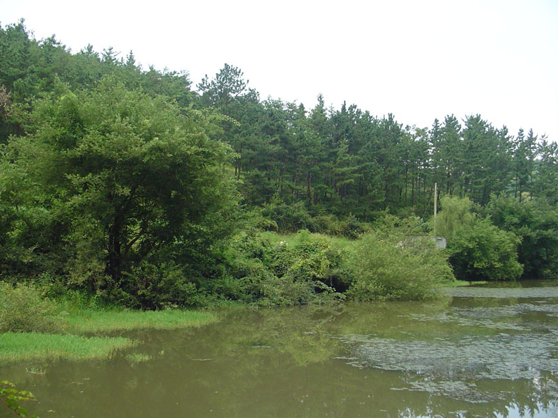 Dsc01358.jpg