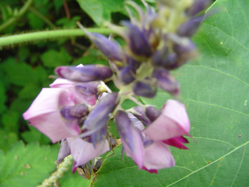 Dsc01365.jpg