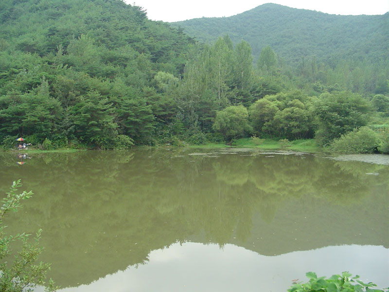 Dsc01366.jpg