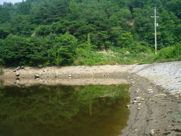 P6250076.jpg