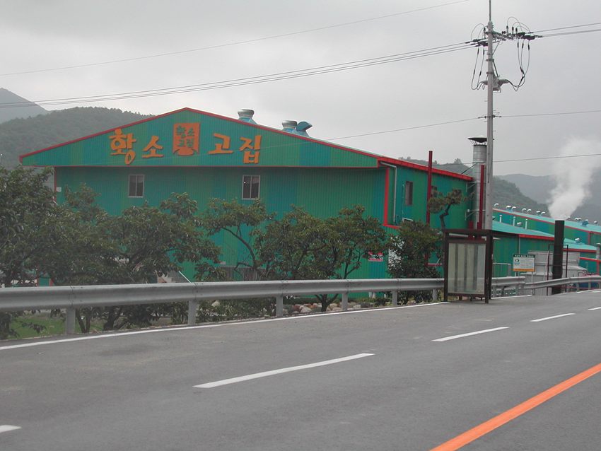02.jpg