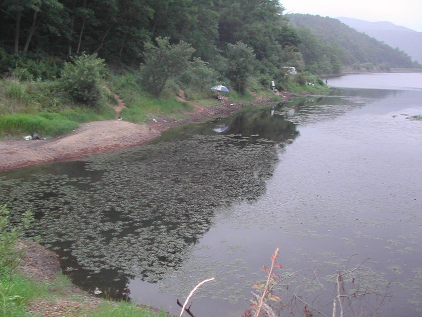 09.jpg