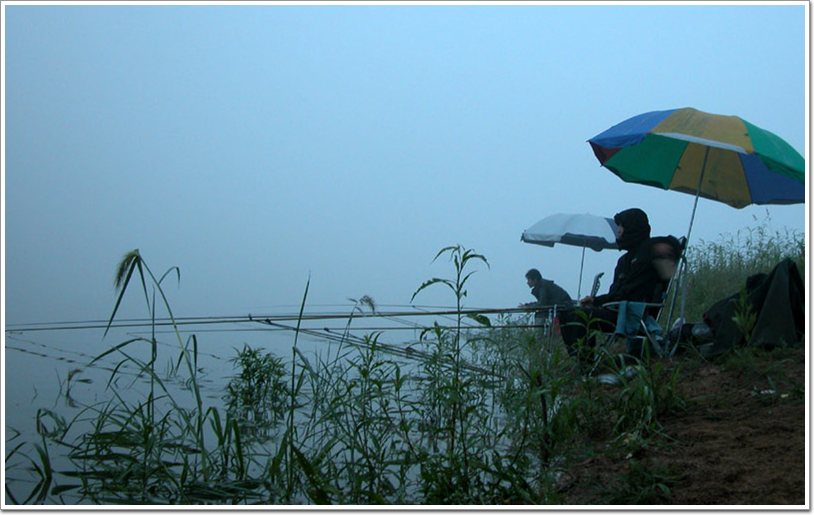 a018.jpg