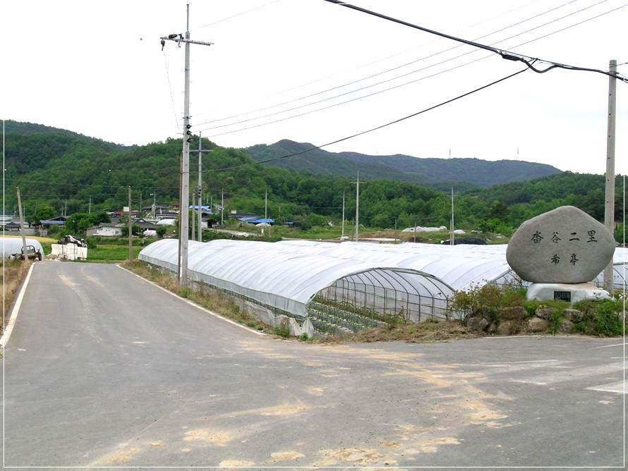 a02.jpg