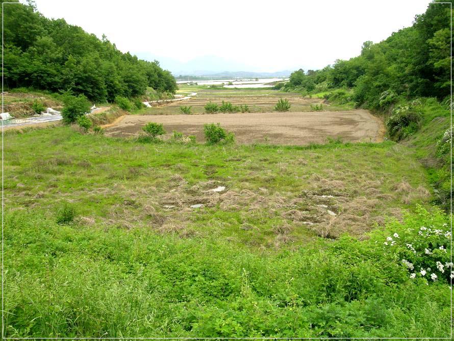 a13.jpg