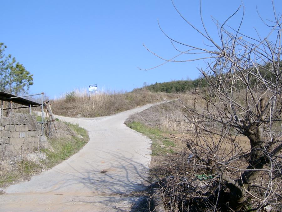 Sv400854.jpg