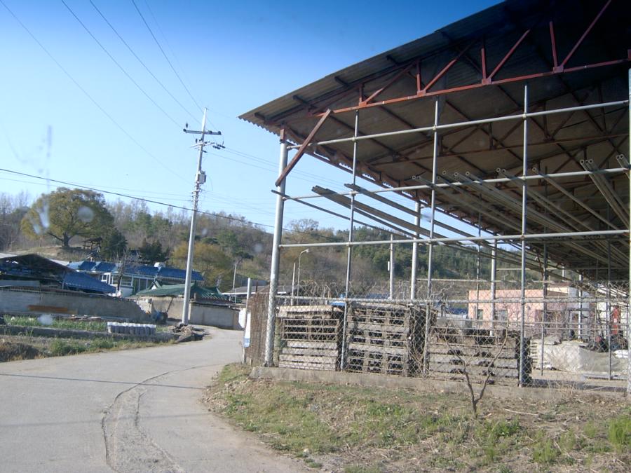 Sv400855.jpg
