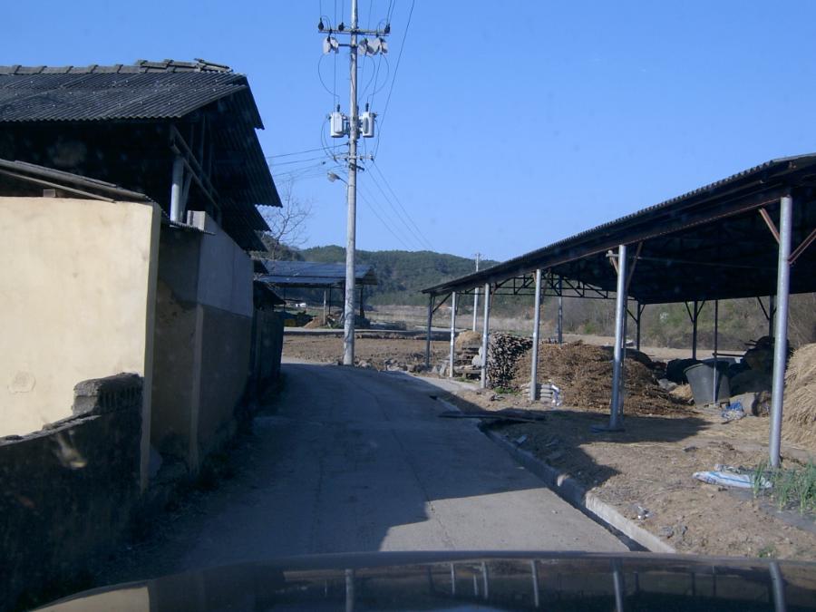 Sv400856.jpg