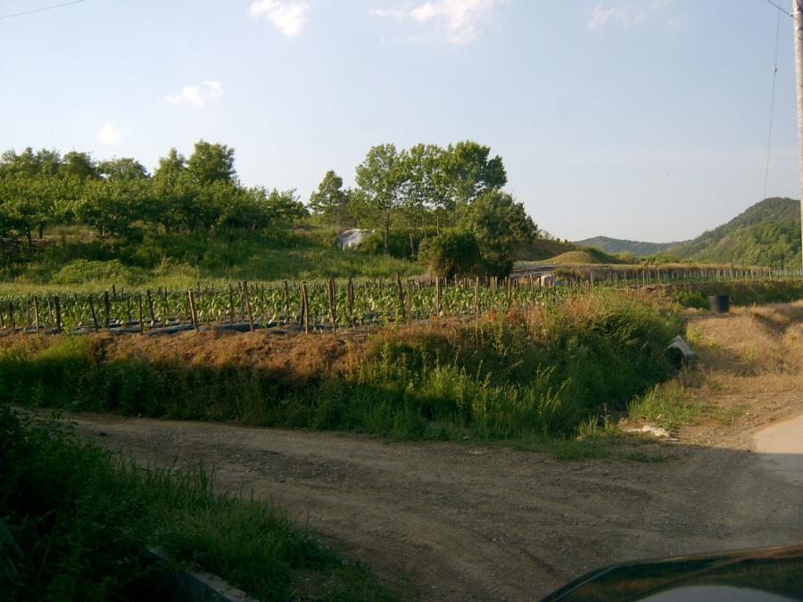 Sv400934.jpg
