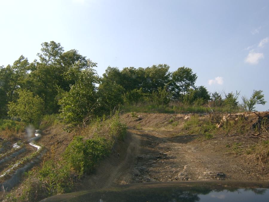 Sv400936.jpg