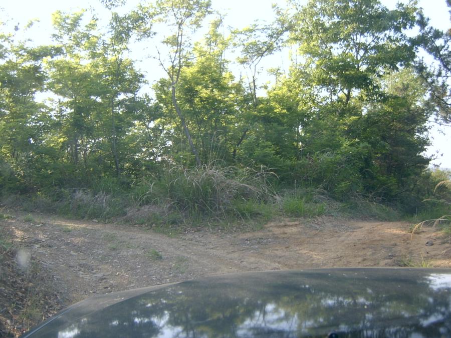 Sv400937.jpg