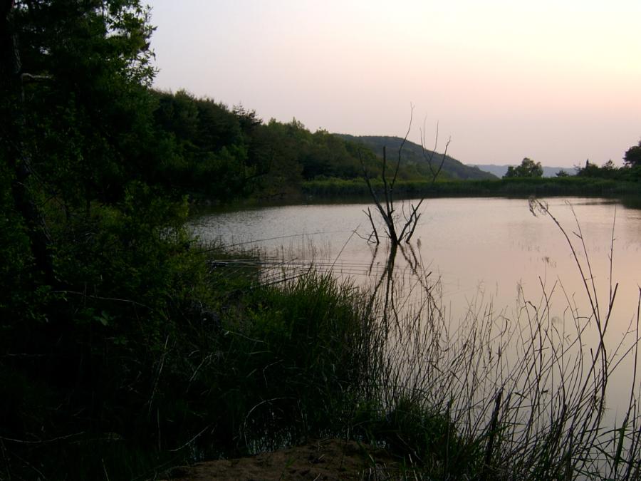 Sv400941.jpg