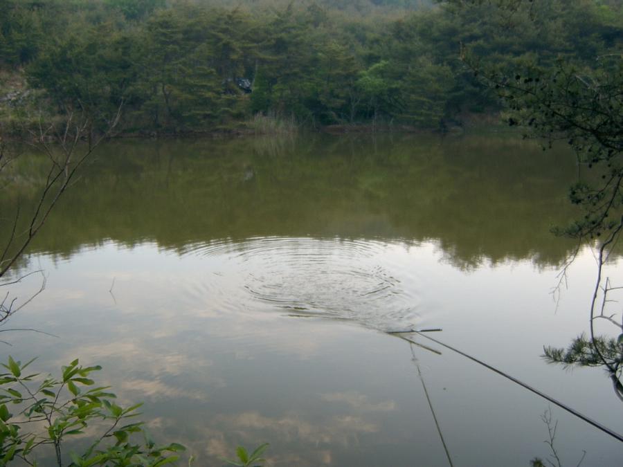 Sv400945.jpg