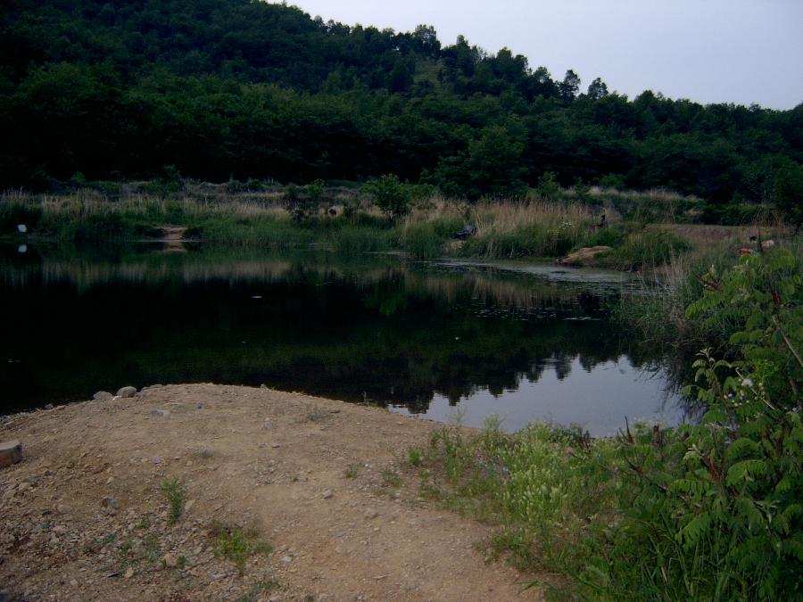 Sv400031.jpg