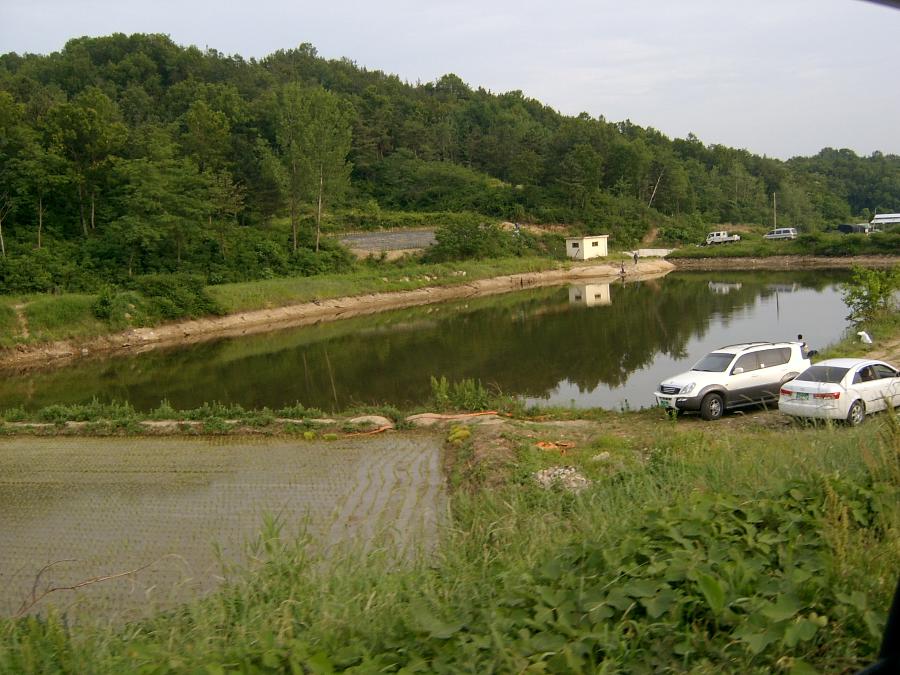 Sv400010.jpg