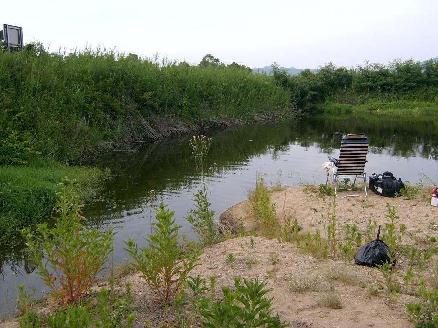 Sv400014.jpg
