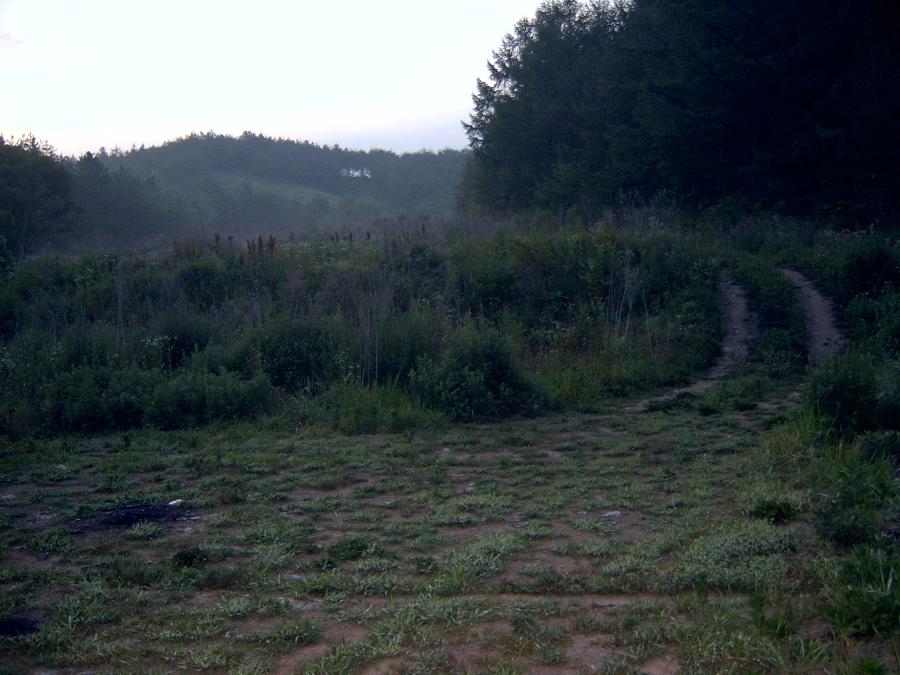 Sv400008.jpg