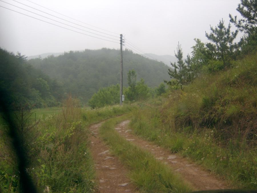 Sv400016.jpg