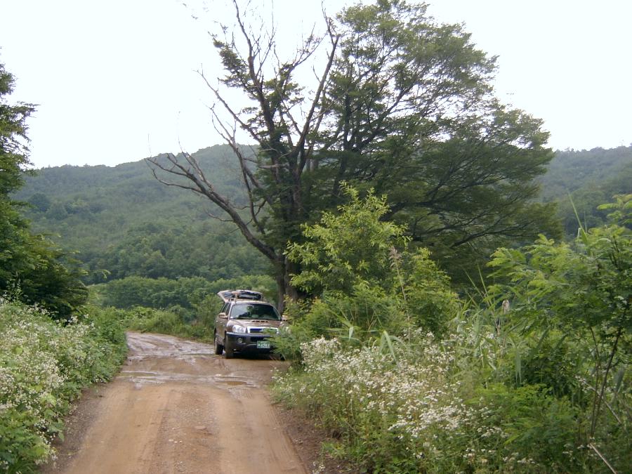 Sv400034.jpg