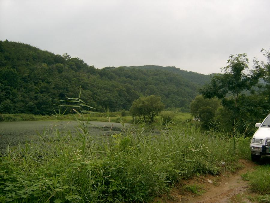 Sv400044.jpg