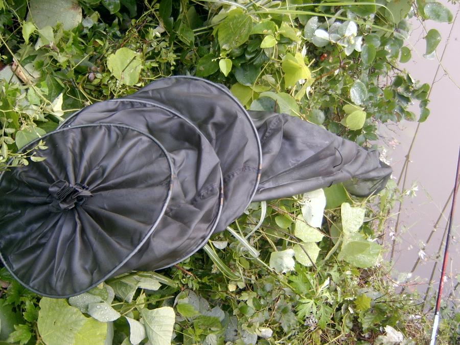 Sv400055.jpg