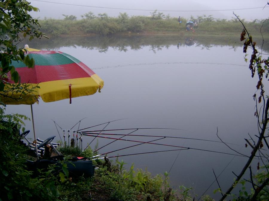 Sv400027.jpg