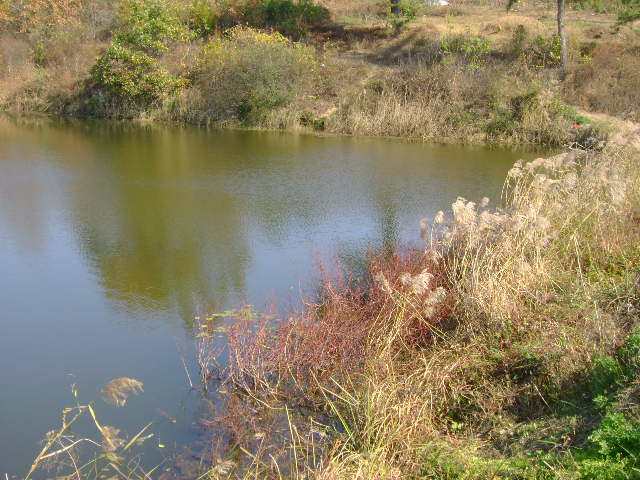 2008-10-16 005_closeup08290670.jpg