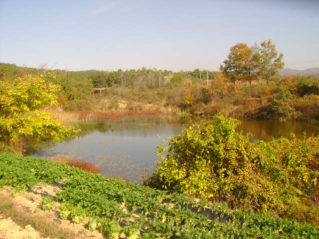 2008-10-16 010_closeup08293043.jpg