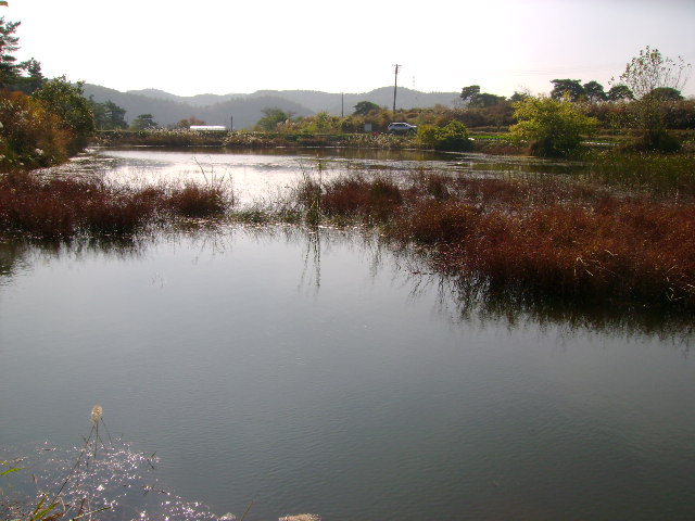 2008-10-16 013_closeup08293879.jpg